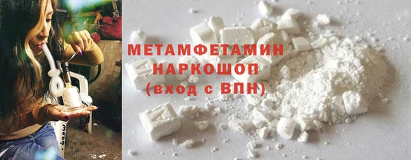 сатива Россошь